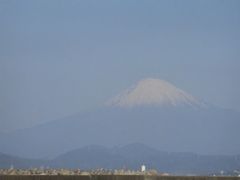 海岸線に富士山を見ることができました！