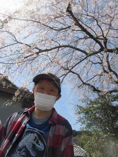 桜がお似合いです。