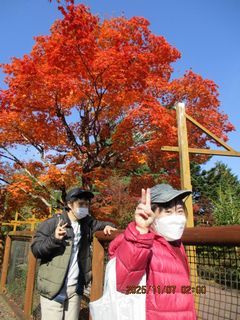 真っ赤な紅葉！！
