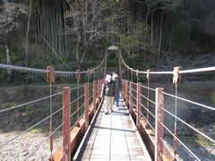 お散歩してつり橋を渡りました。